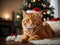 Purr-fectly Merry: Adorable Orange Cat Embracing the Holiday Spirit
