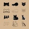 Purrfectly Sleek and Stylish Cat Vector Set