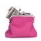 Purse with hundred dollar banknote