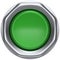 Push down button green indicator activate ignition indicator