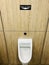 Push to Flush urinals in men's toilets for water saving and efficiency