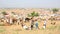 Pushkar Camel Fair