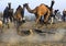 Pushkar Camel Fair in India