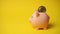 Put Bitcoin crypto currency coin in the piggy money box.