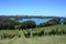 Putiki Bay, Waiheke Island