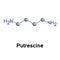 Putrescine, or tetramethylenediamine