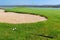 Putters and ball lying on golf course.