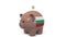 Putting money into piggy bank with flag of Bulgaria. Tax system system or savings related conceptual 3D animation