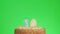 Putting a number ten birthday candle on a delicious cake, green screen 10