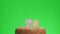 Putting a number twenty birthday candle on a delicious cake, green screen 20