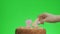 Putting a number twenty four birthday candle on a delicious cake, green screen 24