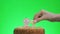 Putting a number twenty seven birthday candle on a delicious cake, green screen 27