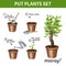 Putting  Plants Icons Set