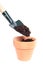Putting soil in a terracotta pot