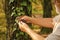 Putting under magnifying glass. Round magnifying lens held in male hands. Examining tree leaves with magnifying glass