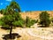 Puye Cliffs, New Mexico