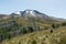 Puyehue volcano on a summer day