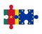 Puzzle of flags of Cameroon and European Union, vector