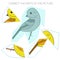 Puzzle game for chldren yellow hammer bird