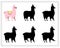 a puzzle game for preschool children. find the right shadow. The llama is cartoon. Silhouette. Vector illustration