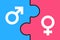 Puzzle - Man and woman / Male and female as complementary sex and gender