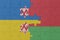 puzzle with the national flag of ukraine and belarus . macro.concept