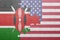 Puzzle with the national flag of united states of america and kenya