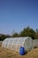 PVC tunnel greenhouse