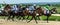 Pyatigorsk Horse Race