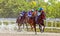 Pyatigorsk horse race