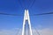 Pylon cable-stayed bridge