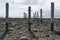 Pylon Pillar Posts, Jetty Ruins, Myponga Beach, South Australia