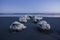 Pylons covered in barnacles and foam at Folly Beach, South Carolina