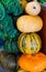 Pyramid of different varieties of pumpkins in the market. Harvest festival, autumn halloween. Green, orange, yellow and striped