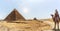 The Pyramid of Khafre and a bedouin on a camel, Giza, Egypt