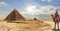 The Pyramid of Khafre and a bedouin on a camel, Giza, Egypt