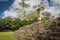 Pyramid stairs and Carved Stella in Mayan Ruins - Copan Archaeological Site, Honduras