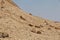 Pyramids in Dahshur, Sahara desert, Egypt