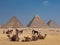 The Pyramids of Giza in Cairo, Egypt