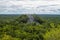 Pyramids Mexico calakmul forest trees