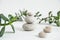 Pyramids of white zen stones with green leaves and Buddha statue. Concept of harmony, balance and meditation, spa, massage, relax