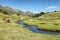 Pyrenean cows along Tristaina river , Andorra