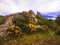 Pyrenean rock with broom under clouds