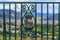 Pyrenees Mountains through a fence in Pamplona, Spain with a coat of arms lion