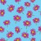 Pyrethrum daisy seamless pattern blue background