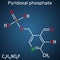 Pyridoxal phosphate, PLP molecule. It is active form of vitamin B6 and coenzyme. Structural chemical formula on the dark blue