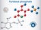 Pyridoxal phosphate PLP, pyridoxal 5`-phosphate, P5P, vitamin