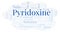 Pyridoxine word cloud.