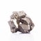 Pyrite crystals in white background