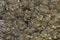 pyrite metal mineral texture